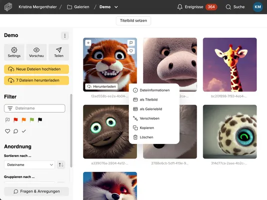 Project screenshot